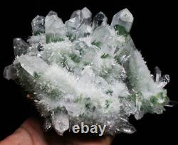Nouvelle découverte: superbe amas de cristaux de quartz fantôme tibétain vert de 3,90 lb