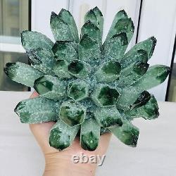 Nouvelle trouvaille - Échantillon minéral de grappe de cristaux de quartz vert fantôme pour la guérison - 3260G