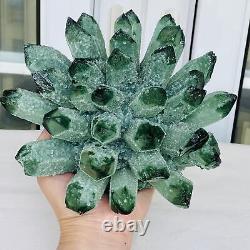 Nouvelle trouvaille - Échantillon minéral de grappe de cristaux de quartz vert fantôme pour la guérison - 3260G