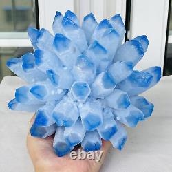 Nouvelle trouvaille: amas de cristaux de quartz bleu fantôme spécimen minéral de guérison 4019G