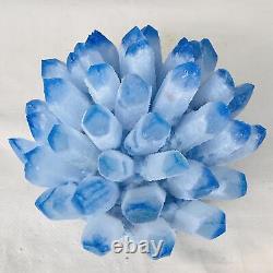 Nouvelle trouvaille: amas de cristaux de quartz bleu fantôme spécimen minéral de guérison 4019G