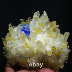 Nouvelle trouvaille de cristal de quartz bleu jaune de 2,9 lb.