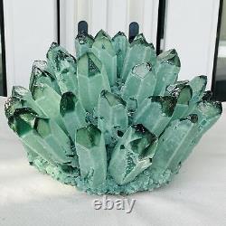 Nouvelle trouvaille de spécimen de minéral en grappe de cristal de quartz fantôme vert pour guérison 4548G