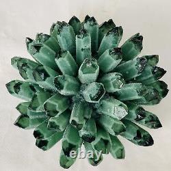 Nouvelle trouvaille de spécimen minéral de cristal de quartz vert fantôme cluster de guérison 4524G