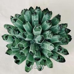 Nouvelle trouvaille de spécimen minéral de cristal de quartz vert fantôme cluster de guérison 4524G
