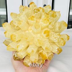 Nouvelle trouvaille de spécimen minéral de grappe de cristaux de quartz jaune Phantom pour la guérison, 3874g