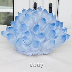 Nouvelle trouvaille : spécimen de cristal de quartz bleu en grappe, minéral guérisseur, 3940G