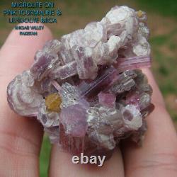 Pink Tourmaline Microlite Lepidolite Crystal Cluster Shigar Valley Pakistan