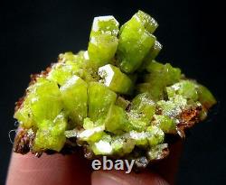Pyromorphite Verte Cristal Cluster Specimen-dz070