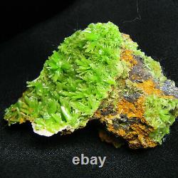 Pyromorphite Verte Cristal Cluster Specimen-dz075