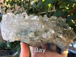 Quartz Avec Inclusion Chlorite Himalaya Cristal Groupe 220x115mm (1,3 Kg)
