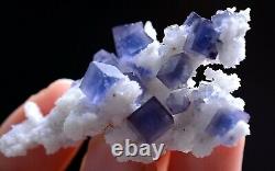 Rare Naturel Clair Cube Bleu Fluorite Crystal Cluster Minéral Spécimen 16g