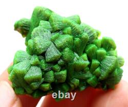Rare Naturel Vert Autunite Cristal Cluster Minéral Specimen 24,7g