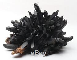 Rare Spécimen Minéral Naturel Quartz Noir Quartz 12.3lb