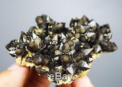 Rare Squelettique Elestial Black Quartz Crystal Cluster Specimen Minéral 72g