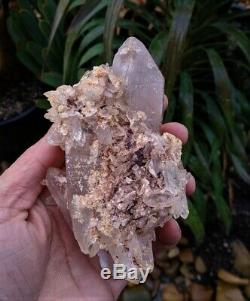 Rose Quartz Double Rare Terminated Cluster Cristal Naturel / Minéral 140x80mm