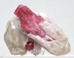 Rubellite De Tourmaline Rose Dans Un Spécimen Minéral De Grappes De Cristal De Quartz Russie