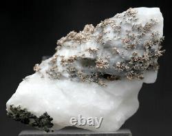 Silver Native Rare Sur La Grappe Cristalline De Calcite Spécimen Minéral Naturel Morocco