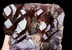 Skeletal Naturel Amethyst Cristal Quartz Cluster Des Échantillons De Guérison 6.07lb