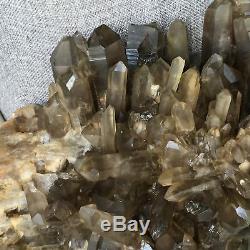 Spécimen De Cristal De Cluster De Quartz Citronné Enfumé Naturel 16.74lb Curatif E8335
