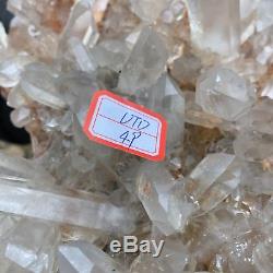 Spécimen De Cristal De Cluster De Quartz Clair Naturel De 11,5 Lb Guérissant 12,7utd49