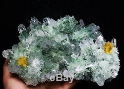 Spécimen De Grappe De Cristal De Quartz Fantôme Tibétain Fantôme Vert Magnifique De £ 4.58b