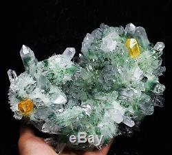 Spécimen De Grappe De Cristal De Quartz Fantôme Tibétain Fantôme Vert Magnifique De £ 4.58b