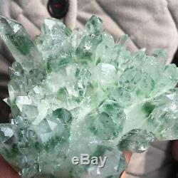 Spécimen Minéral 31020 De Guérison De Grappe De Cristal De Quartz Fantôme Vert Énorme De 2.0lb