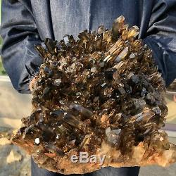Spécimen Minéral Cristallin En Grappe De Quartz Noir Naturel, 24,4 Lb