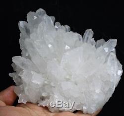 Spécimen Minéral De Grappe De Cristal De Quartz Blanc Clair, 1075 G, Naturel