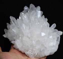 Spécimen Minéral De Grappe De Cristal De Quartz Blanc Clair, 1075 G, Naturel
