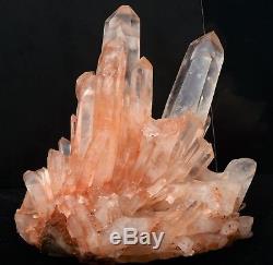 Spécimen Minéral De Grappe De Cristal De Quartz Rose Naturel De 14.41lb Normal Rare