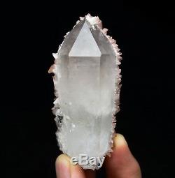 Spécimen Minéral De Grappe De Cristal Enveloppé Dans De La Calcite Rose Rare, 124.6g / Chine