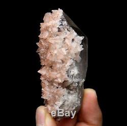 Spécimen Minéral De Grappe De Cristal Enveloppé Dans De La Calcite Rose Rare, 124.6g / Chine