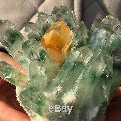 Spécimen Minéral En Grappe De Cristal De Quartz De Fantôme Vert De 1.3lb Découvrant La Guérison121