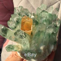 Spécimen Minéral En Grappe De Cristal De Quartz De Fantôme Vert De 1.3lb Découvrant La Guérison121