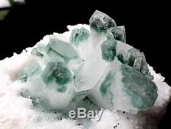 Spécimen Minéral En Grappes De Cristal Fantôme 815,6g Vert Guérir