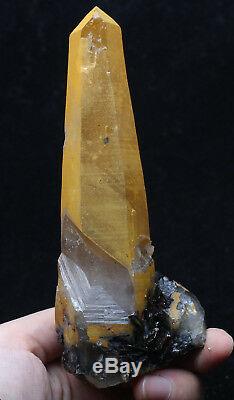 Spécimen Minéral Spécularite En Forme De Grappe Et De Cristal Jaune Naturel, 294,2 G