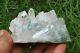 Spécimen De Cristal De Guérison De Quartz Manihar Chlorite Vert Naturel En Grappe 277g