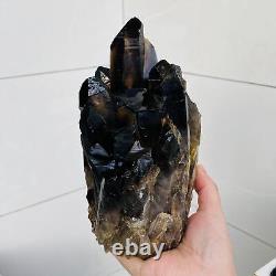 Spécimen de cristal de groupe de quartz noir fumé naturel pour la guérison Reiki 2116g