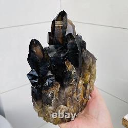 Spécimen de cristal de groupe de quartz noir fumé naturel pour la guérison Reiki 2116g