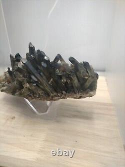 Specimen minéral de cristal de quartz noir naturel et magnifique de 3 livres
