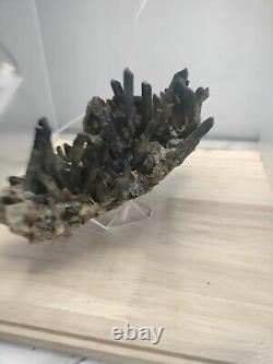 Specimen minéral de cristal de quartz noir naturel et magnifique de 3 livres