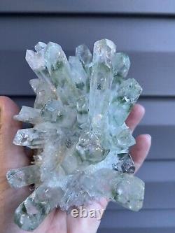 Superbe, amas de quartz fantôme vert