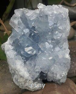 Très Haute Qualité Celestite Quartz Cluster Clear Powder Blue Crystals! 2 Lb
