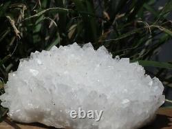 Un Cluster De Cristal À Quartz Clair De Qualité Naturelle 558g Raw & Rough