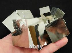 Un Fou! Douze Cubes De Cristal Pyrite Naturels Entrelacés! Dans Un Cluster Énorme 1111gr