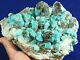 Un Gros! 100% Naturel Amazonite Cristal Cluster Avec Quartz Fumé! Colorado 1797gr